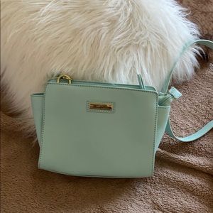Teal purse